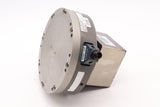 PTM 0007-D82A QS-800LRNP-T4