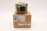 SCHRACK LP605025T 453980=31