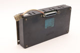 ARGUS	PLASMA DISPLAY	03100-00-256N/S